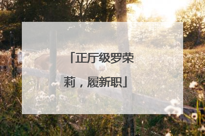 正厅级罗荣莉，履新职