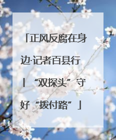 正风反腐在身边·记者百县行丨“双探头”守好“拨付路”