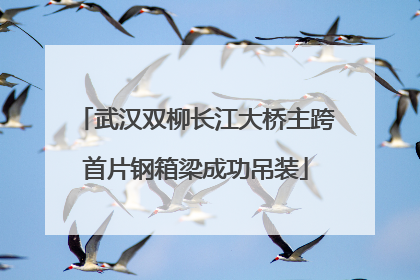 武汉双柳长江大桥主跨首片钢箱梁成功吊装