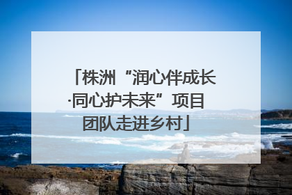 株洲“润心伴成长·同心护未来”项目团队走进乡村