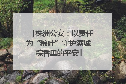 株洲公安：以责任为“粽叶”守护满城粽香里的平安
