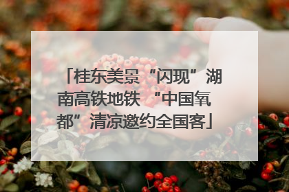 桂东美景“闪现”湖南高铁地铁 “中国氧都”清凉邀约全国客