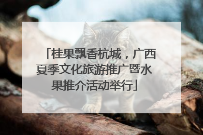 桂果飘香杭城，广西夏季文化旅游推广暨水果推介活动举行