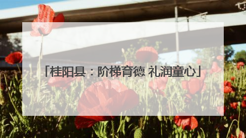 桂阳县：阶梯育德 礼润童心