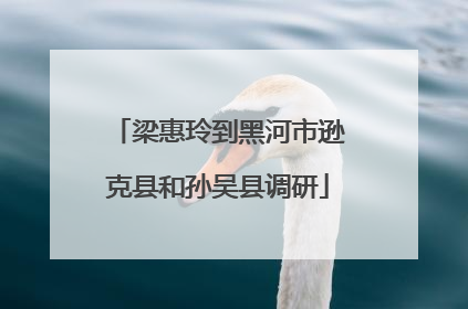 梁惠玲到黑河市逊克县和孙吴县调研