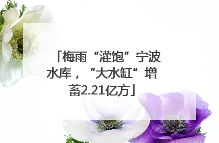 梅雨“灌饱”宁波水库，“大水缸”增蓄2.21亿方