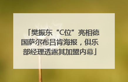 樊振东“C位”亮相德国萨尔布吕肯海报，俱乐部经理透露其加盟内幕