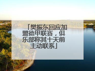 樊振东回应加盟德甲联赛，俱乐部称其十天前主动联系
