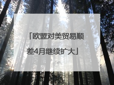 欧盟对美贸易顺差4月继续扩大