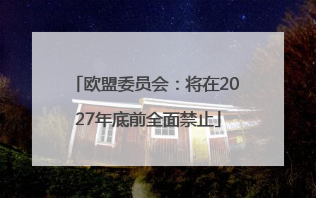 欧盟委员会：将在2027年底前全面禁止