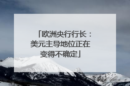 欧洲央行行长：美元主导地位正在变得不确定