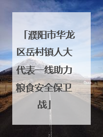 濮阳市华龙区岳村镇人大代表一线助力粮食安全保卫战