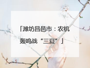 潍坊昌邑市：农机轰鸣战“三夏”