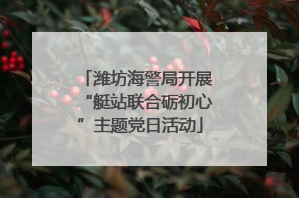 潍坊海警局开展“艇站联合砺初心”主题党日活动
