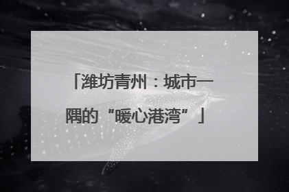 潍坊青州：城市一隅的“暖心港湾”