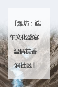 潍坊：端午文化盛宴 温情粽香润社区