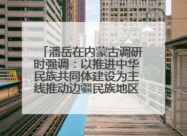 潘岳在内蒙古调研时强调：以推进中华民族共同体建设为主线推动边疆民族地区高质量发展