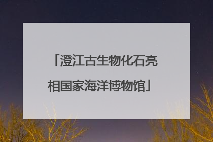 澄江古生物化石亮相国家海洋博物馆