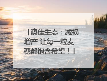 澳佳生态：减损增产 让每一粒麦穗都饱含希望！