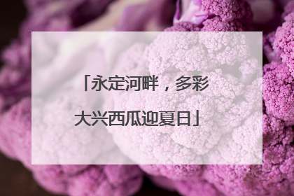 永定河畔，多彩大兴西瓜迎夏日