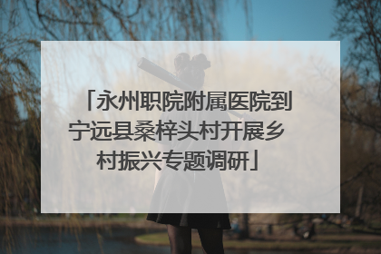 永州职院附属医院到宁远县桑梓头村开展乡村振兴专题调研