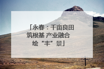 永春：千亩良田筑根基 产业融合绘“丰”景