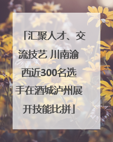 汇聚人才、交流技艺 川南渝西近300名选手在酒城泸州展开技能比拼
