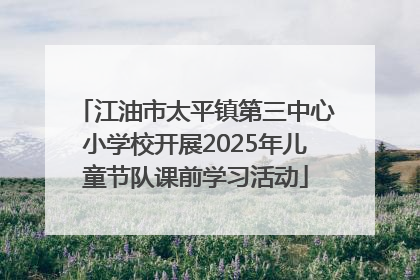 江油市太平镇第三中心小学校开展2025年儿童节队课前学习活动