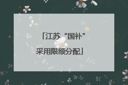 江苏“国补”采用限额分配