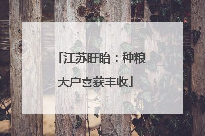 江苏盱眙：种粮大户喜获丰收