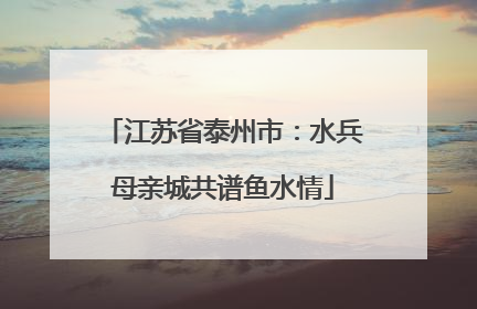 江苏省泰州市：水兵母亲城共谱鱼水情