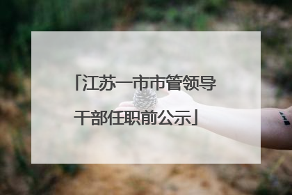 江苏一市市管领导干部任职前公示