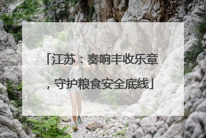 江苏：奏响丰收乐章，守护粮食安全底线