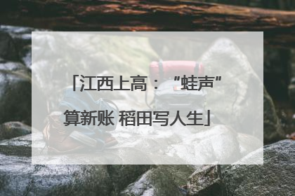 江西上高：“蛙声”算新账 稻田写人生