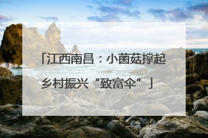 江西南昌：小菌菇撑起乡村振兴“致富伞”