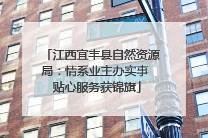江西宜丰县自然资源局：情系业主办实事 贴心服务获锦旗