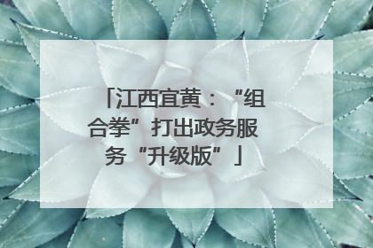 江西宜黄：“组合拳”打出政务服务“升级版”