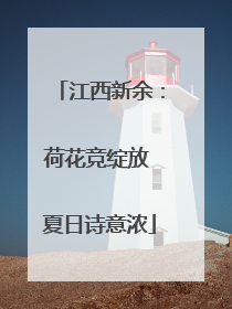 江西新余：荷花竞绽放 夏日诗意浓