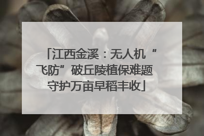江西金溪：无人机“飞防”破丘陵植保难题 守护万亩早稻丰收