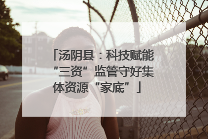 汤阴县：科技赋能“三资”监管守好集体资源“家底”