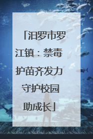 汨罗市罗江镇：禁毒护苗齐发力 守护校园助成长