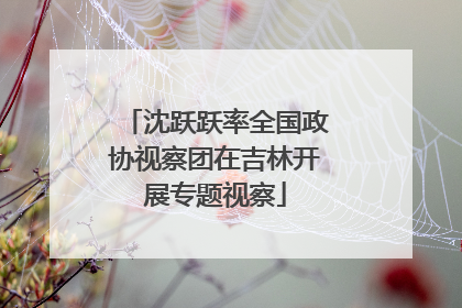 沈跃跃率全国政协视察团在吉林开展专题视察