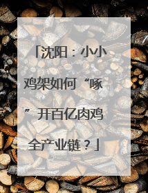 沈阳：小小鸡架如何“啄”开百亿肉鸡全产业链？