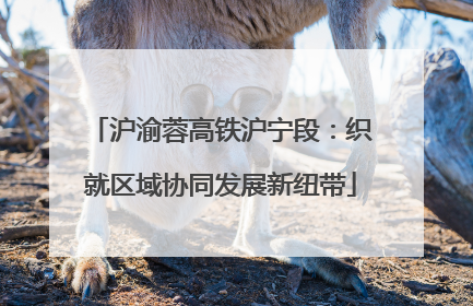 沪渝蓉高铁沪宁段：织就区域协同发展新纽带
