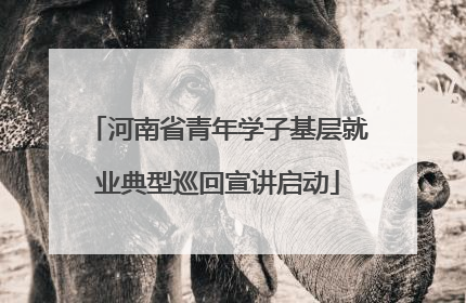 河南省青年学子基层就业典型巡回宣讲启动