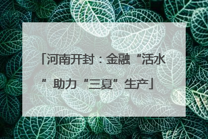 河南开封：金融“活水”助力“三夏”生产