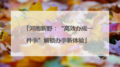 河南新野：“高效办成一件事”解锁办事新体验