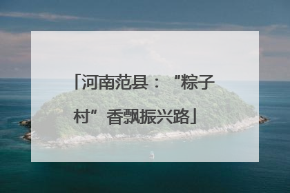 河南范县：“粽子村”香飘振兴路