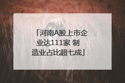 河南A股上市企业达111家 制造业占比超七成