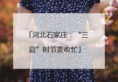 河北石家庄：“三夏”时节麦收忙